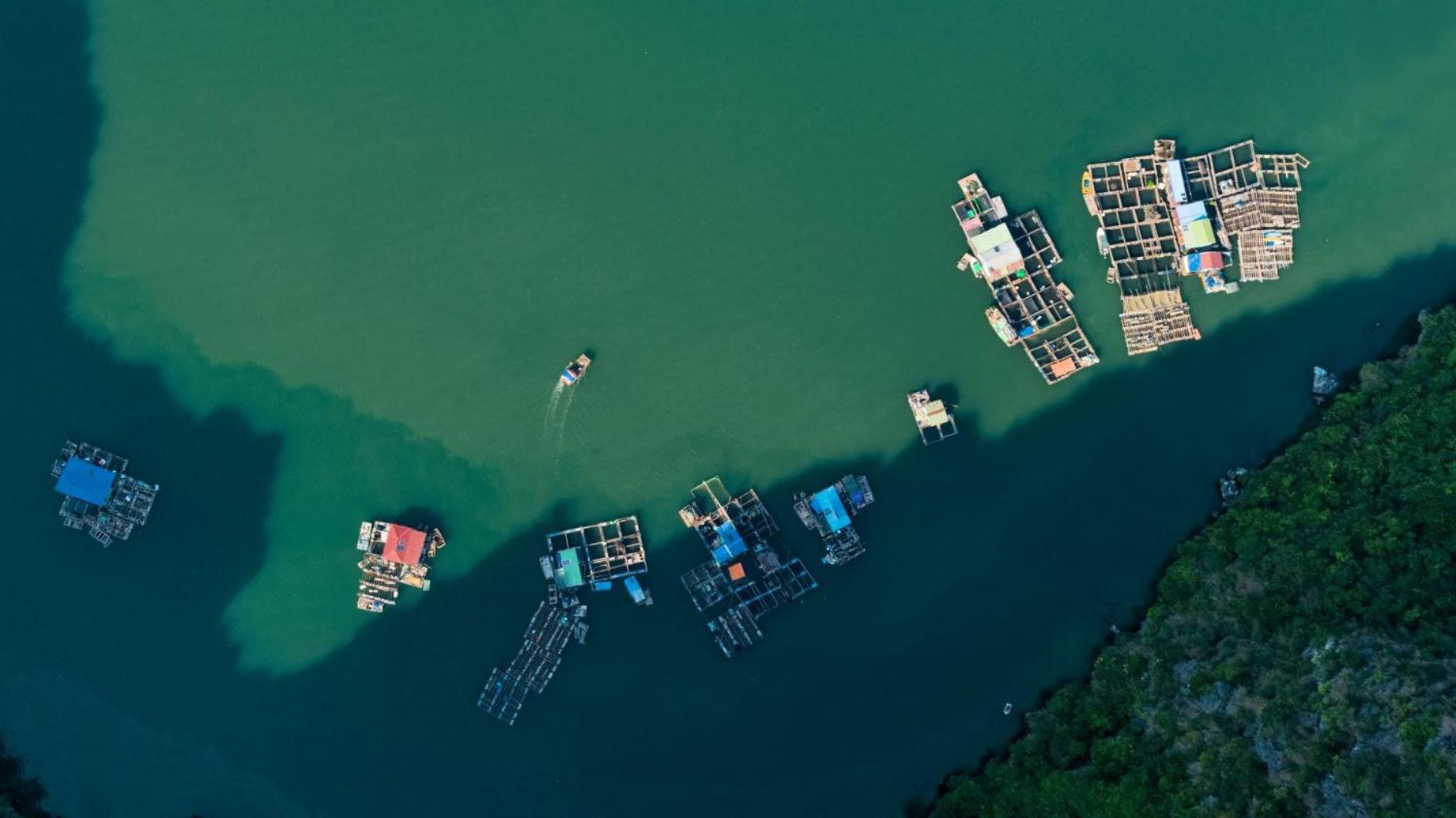 Indochine Cruise Lan Ha Bay Ha Long Exterior foto